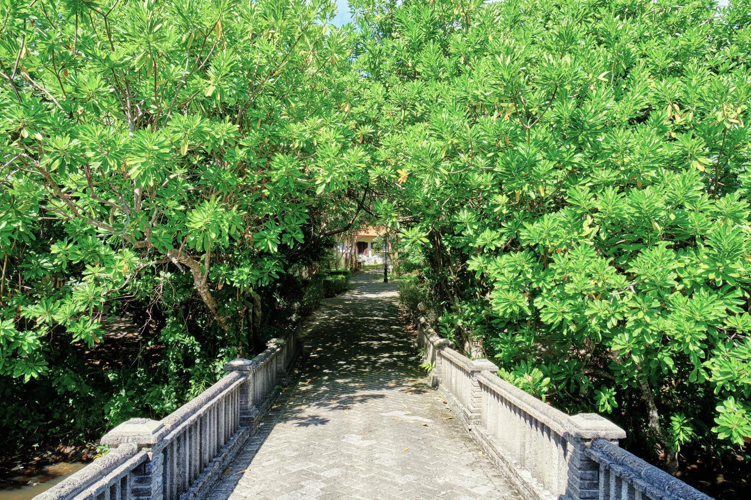 鲍罗神鹰精品温泉度假村 Chi Khu Co Ong 外观 照片